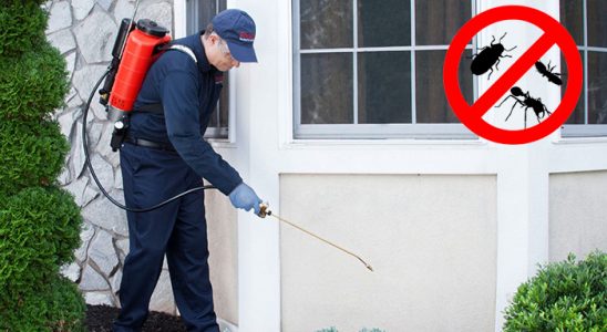 Doğanlar Tahtakurusu İlaçlama böcek ilaçlama ve haşere kontrolü — ilaclama-tr.com
